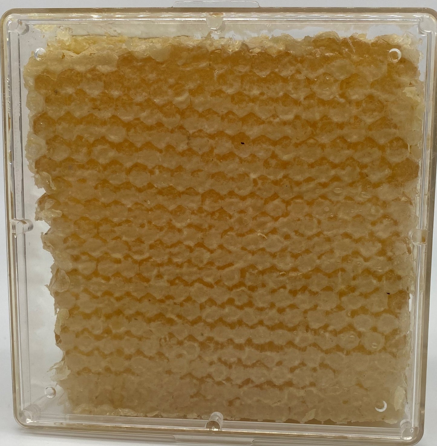 12pk case Honey Comb 4x4