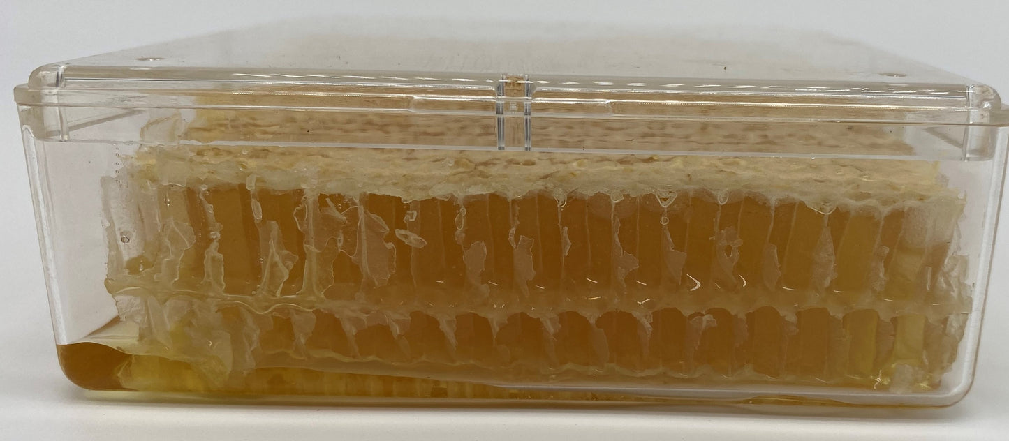 12pk case Honey Comb 4x4